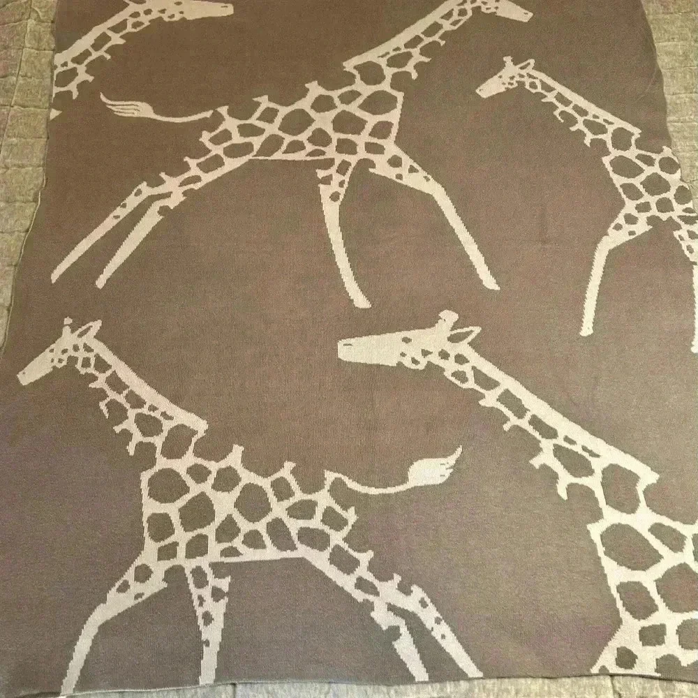 Pottery barn kids giraffe blanket
